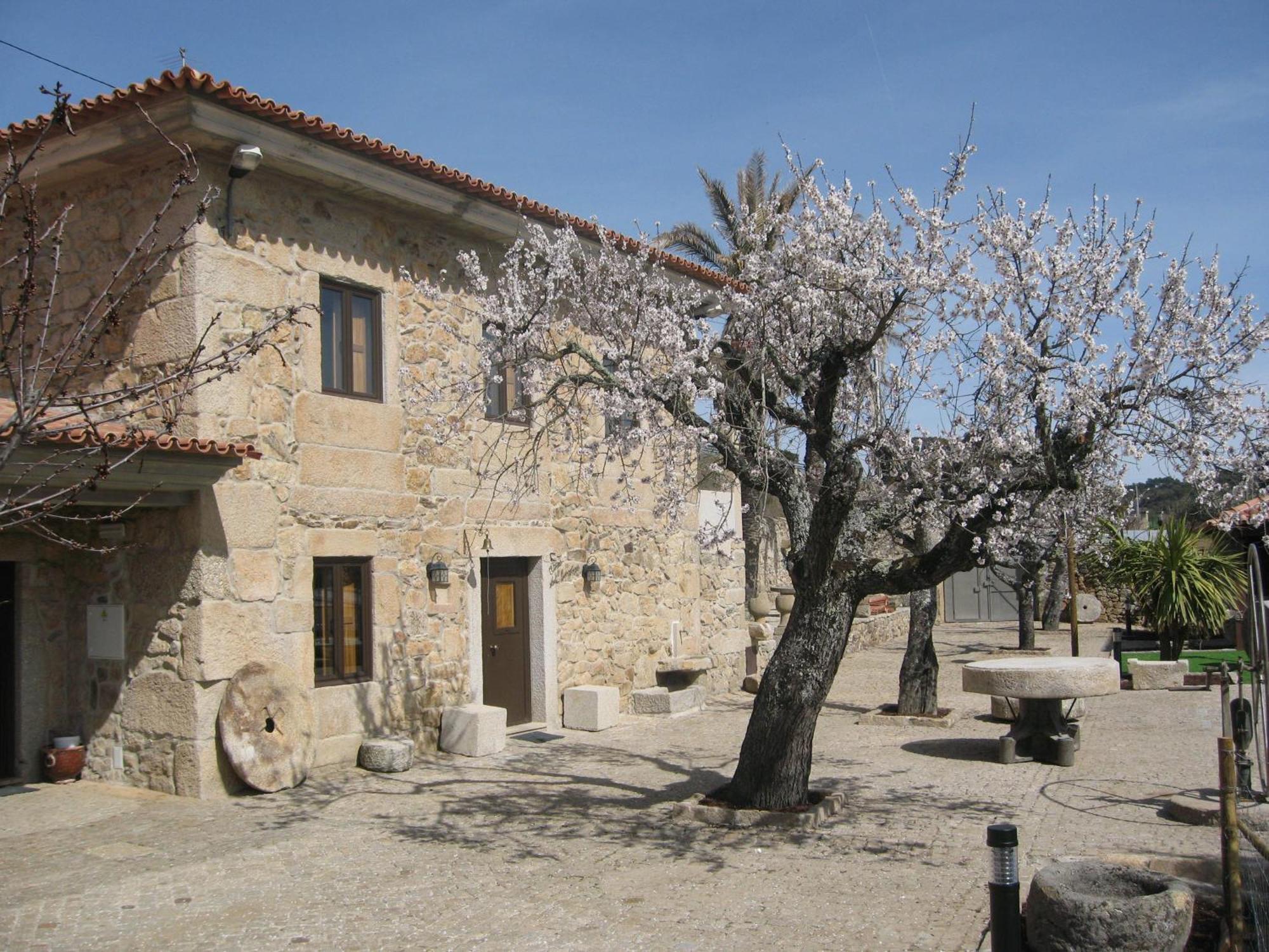 Quinta Das Pias - Holiday Farm Pinhel Ngoại thất bức ảnh